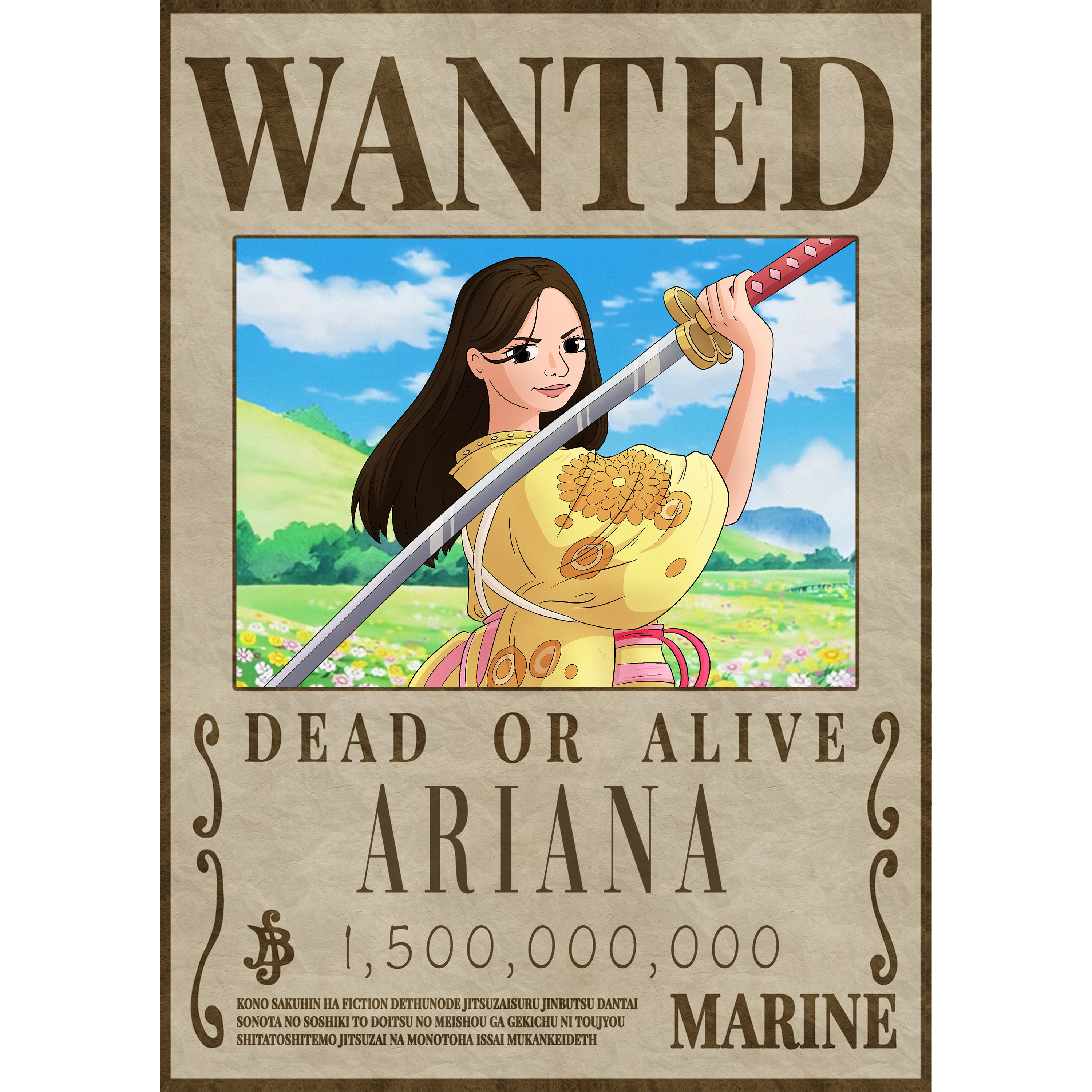 Poster Imprimé Wanted One Piece Personnalisé