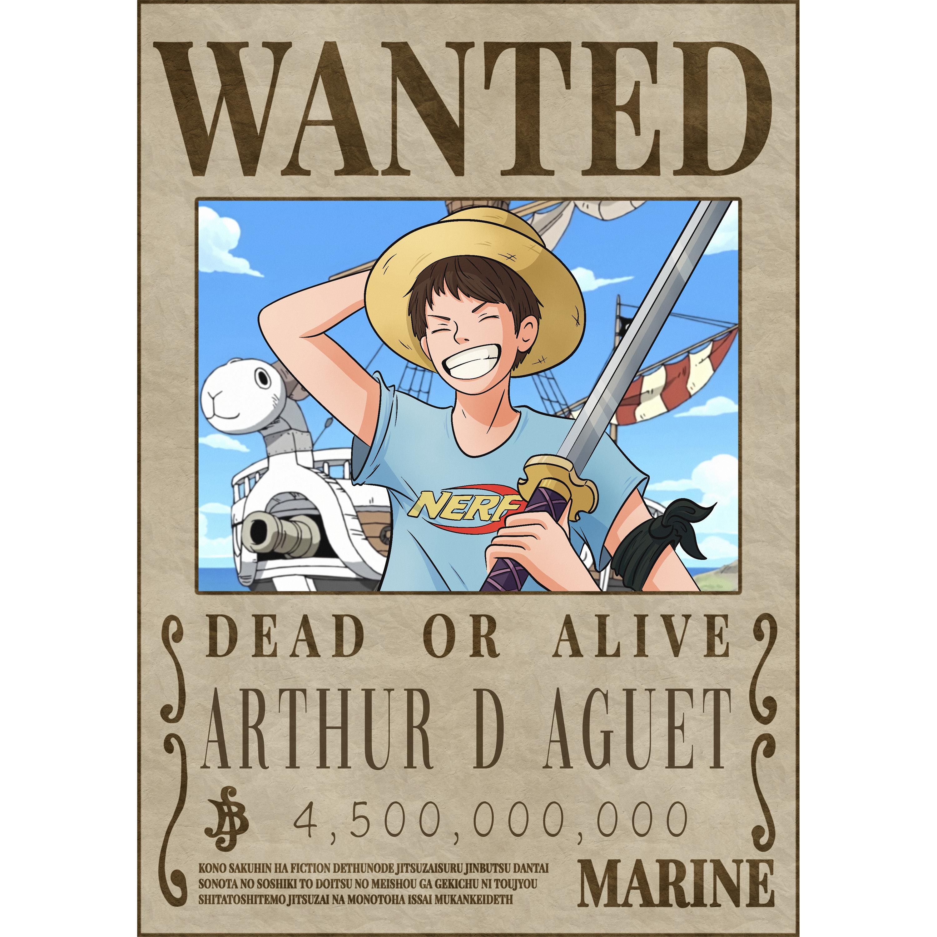 Poster Imprimé Wanted One Piece Personnalisé